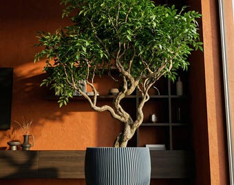 BlueSteel Risa Design Planter Pot with Drainage & Water Plate