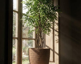 Nut Brown Vine Design Planter Pot with Drainage & Water Plate