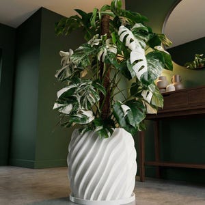 Snow White Opal Design Planter Pot with Drainage & Water Plate