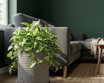 Concrete Grey Stack Design Planter Pot with Drainage & Water Plate