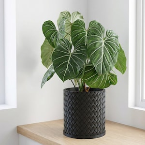 Cache-pot design noir anthracite avec drainage et plaque à eau