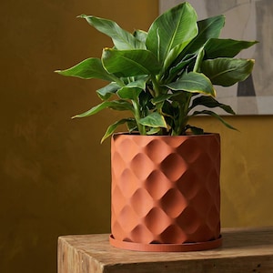 Terracotta Orange Scoop Design Planter Pot with Drainage & Water Plate
