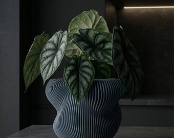 BlueSteel Mira Design Planter Pot with Drainage & Water Plate