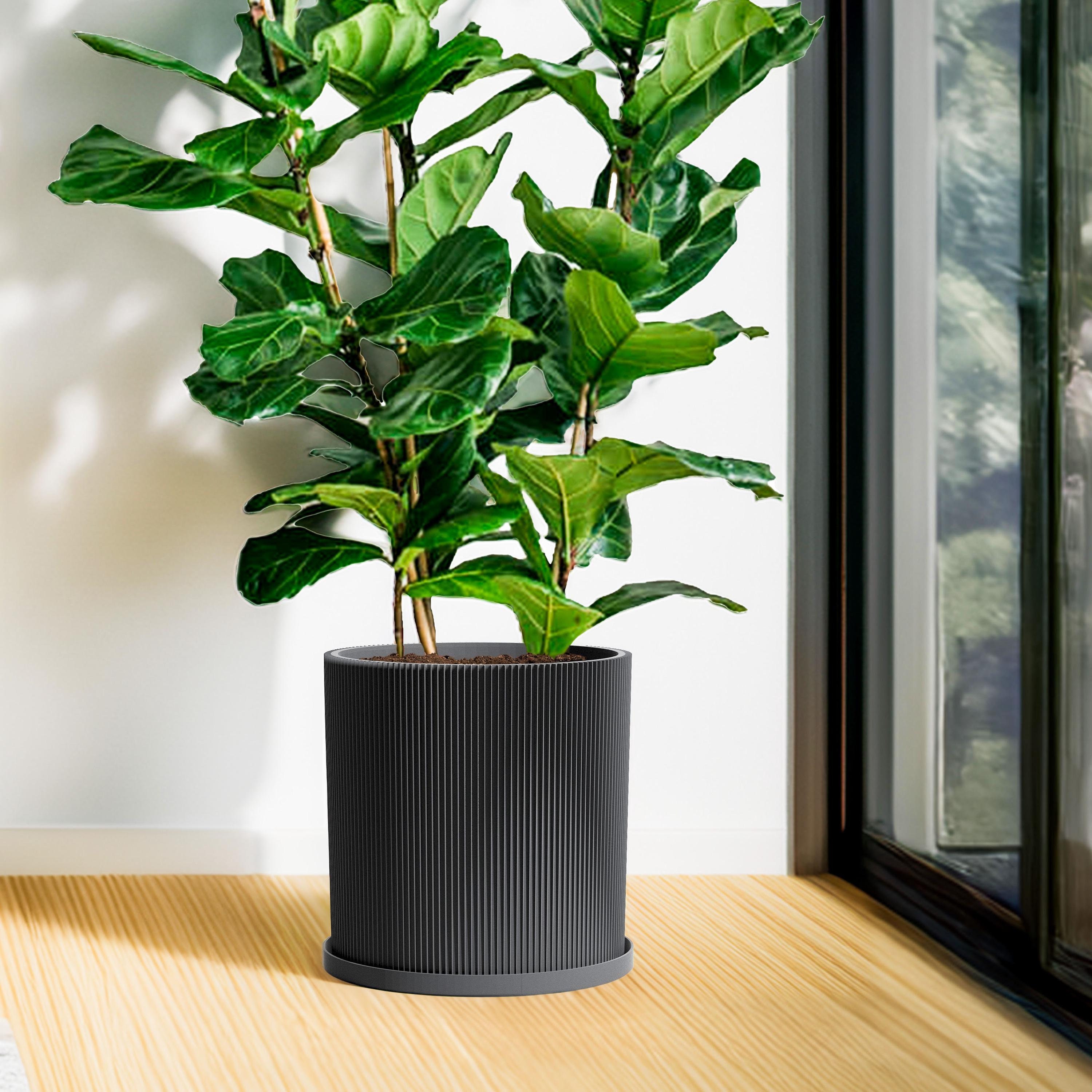 Planter Pot With Drainage, Gray Ray Design for Small and Large Plants [Water Plate Included] Outdoor and Indoor use Plant Pot