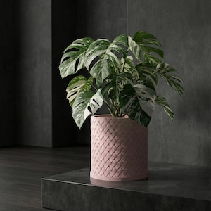 Candy Pink Weave Design Planter Pot with Drainage & Water Plate