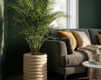 Beige Slinky Design Planter Pot with Drainage & Water Plate