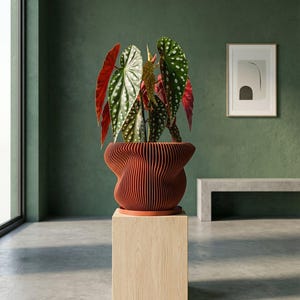 Terracotta Orange Mira Design Planter Pot with Drainage & Water Plate