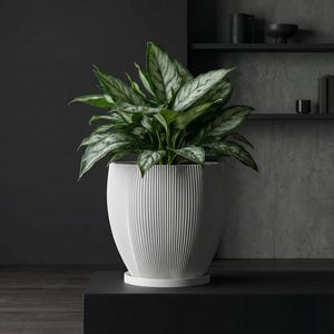 Snow White Coconut Design Planter Pot with Drainage & Water Plate