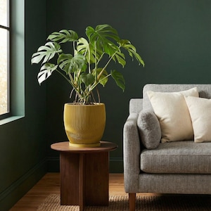 Pear Green Risa Design Planter Pot with Drainage & Water Plate