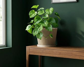 Beige Flux Design Planter Pot with Drainage & Water Plate
