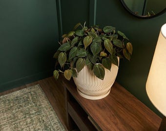Beige Risa Design Planter Pot with Drainage & Water Plate