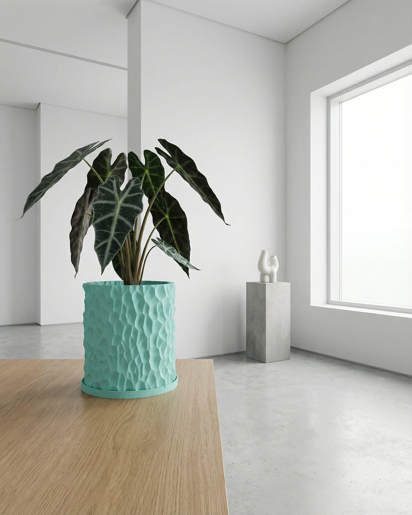 Sky Blue Terra Design Planter Pot With Drainage & Water Plate - Etsy