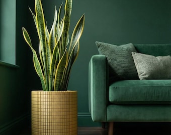 Pear Green Stack Design Planter Pot with Drainage & Water Plate