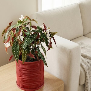 Pot de fleurs rouge lave avec système de drainage et plaque Uma design Uma