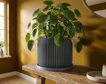 BlueSteel Nest Design Planter Pot with Drainage & Water Plate