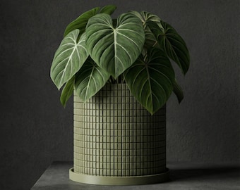 Avocado Green Stack Design Planter Pot with Drainage & Water Plate