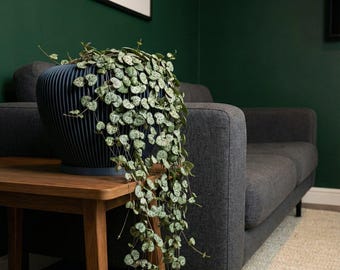 BlueSteel Mesa Design Planter Pot with Drainage & Water Plate