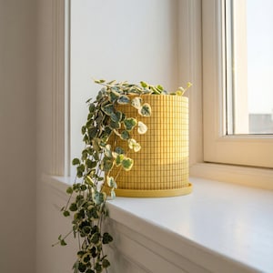 May include: A yellow, cylindrical plant pot with a grid pattern sits on a white windowsill. Trailing green and white variegated string of hearts plant spills over the side. The pot is near a window.