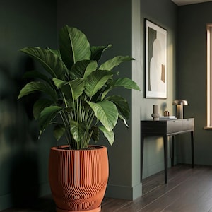 Terracotta Orange Risa Design Planter Pot with Drainage & Water Plate