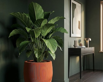 Terracotta Orange Risa Design Planter Pot with Drainage & Water Plate