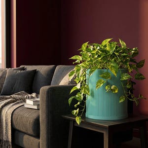 Sky Blue Ray Design Planter Pot with Drainage & Water Plate