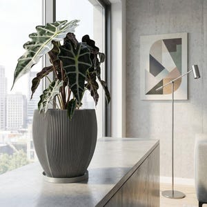 Cache-pot design béton gris noix de coco avec drainage et plaque d'eau