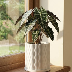 Snow White Mica Design Planter Pot with Drainage & Water Plate