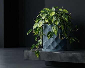 BlueSteel Scoop Design Planter Pot with Drainage & Water Plate