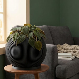 Concrete Grey Melon Design Planter Pot with Drainage & Water Plate