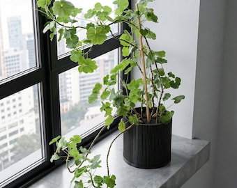 Charcoal Black Ray Design Planter Pot with Drainage & Water Plate