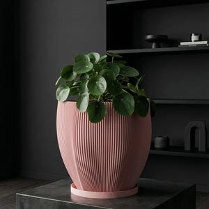 Candy Pink Coconut Design Planter Pot with Drainage & Water Plate