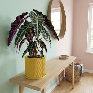 Lemon Yellow Mica Design Planter Pot with Drainage & Water Plate