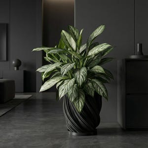A rubber plant in a black, textured planter pot sits on a white windowsill, bathed in sunlight.