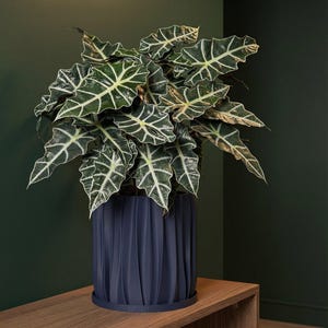 Pot de fleurs bleu océan avec système de drainage et plaque Kurtain Design Kurtain