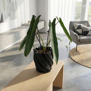 A Monstera plant in a black, textured planter pot sits on a dark wood floor in a room with dark green walls.