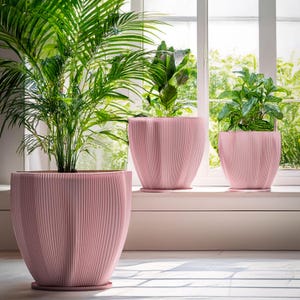 Planter Pot With Drainage, Candy Pink Coconut Design for Small and Large Plants [Water Plate Included] Outdoor and Indoor use Plant Pot