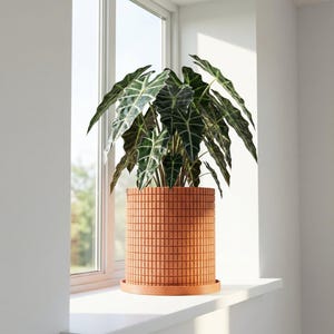 May include: A potted plant with large, dark green leaves and white veins sits in a terracotta-colored cylindrical planter with a grid pattern. The planter is on a white windowsill next to a window.