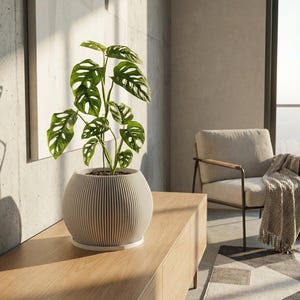 Snow White Melon Design Planter Pot with Drainage & Water Plate