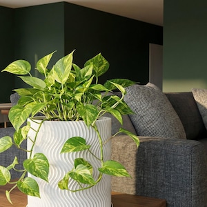 Snow White Uma Design Planter Pot with Drainage & Water Plate