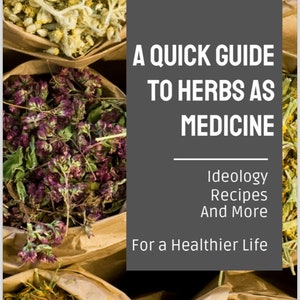 Informational Mini Course Booklet “A Quick Guide to Herbs as Medicine” *DIGITAL Product*