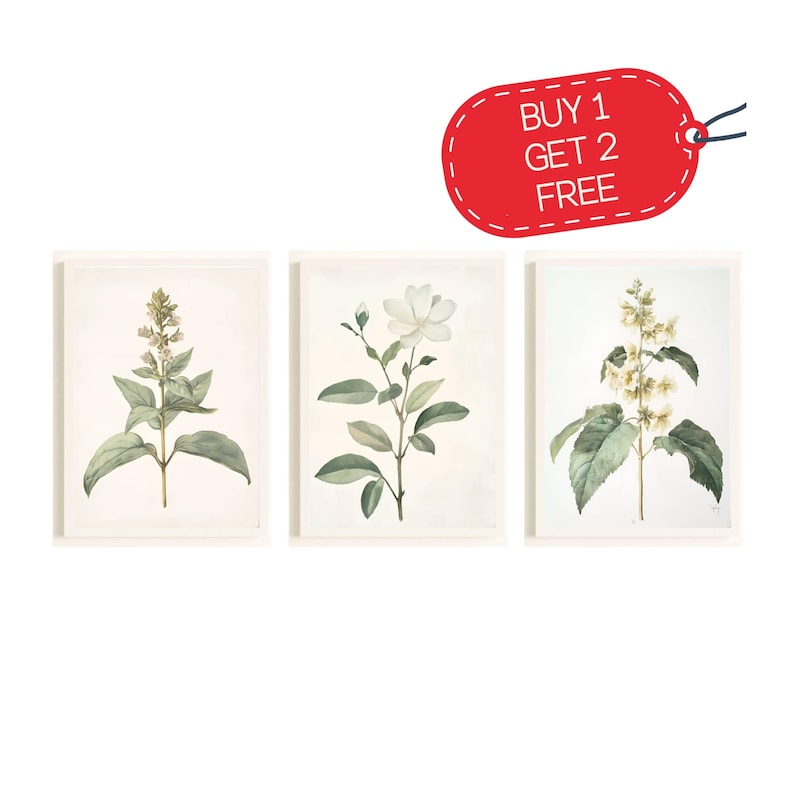 Botanical Art Print Set Vintage Botanical Wall Art Set of 3 Printable ...