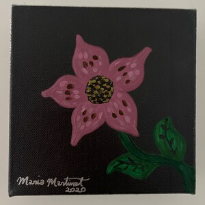 Nuit Rose