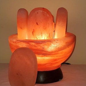 Our new 'SPA line' Himalayan Salt bowl finished Salt Stones for Professional Massage Pink NOT massage balls image 9