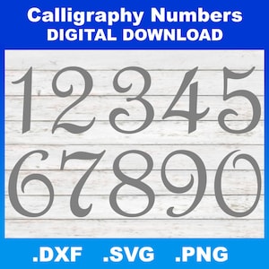 Fancy Numbers SVG, kalligrafienummers, DXF-silhouetbestanden, Cricut-bestanden, nummers PNG, nummers Clipart, nummers downloaden