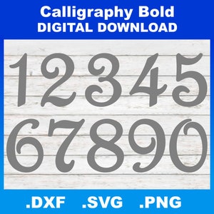 Números extravagantes em negrito SVG, números de caligrafia, arquivos de silhueta DXF, arquivos Cricut, números PNG, clipart de números, download de números