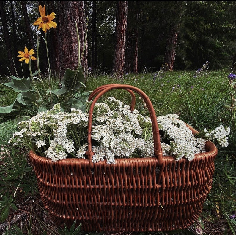 K&ouml;nnte beinhalten: Ein brauner Weidenkorb gef&uuml;llt mit wei&szlig;en Blumen. Der Korb hat zwei Henkel und steht auf einem Bett aus gr&uuml;nem Gras.