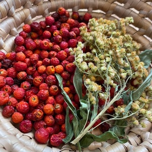 May include: A wicker basket filled with dried red berries and a sprig of dried green foliage.