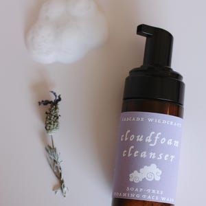 May include: A brown glass bottle of Cascade Wildcraft cloudfoam cleanser with a black pump top. The label is lavender with white text and a cloud graphic. A small cloud of white foam and a sprig of dried lavender are also present.