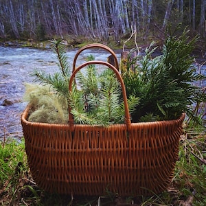 May include: A brown wicker basket filled with various types of green foliage, including ferns and pine branches.