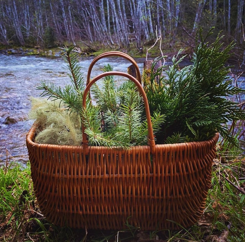 May include: A brown wicker basket filled with various types of green foliage, including ferns and pine branches.